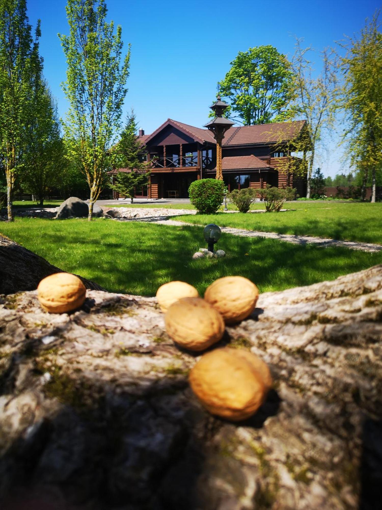 Graikine Villa *